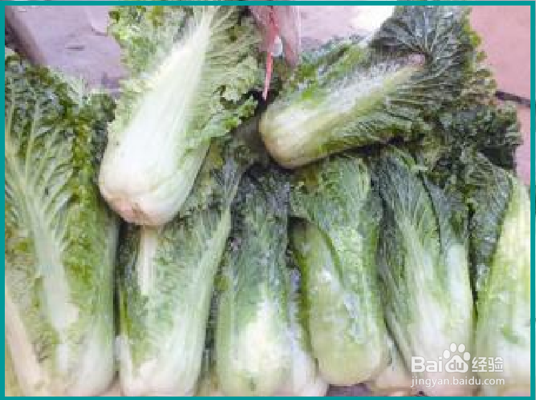 大白菜冻了怎么办