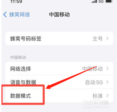 iphone手机怎么开启标准数据模式