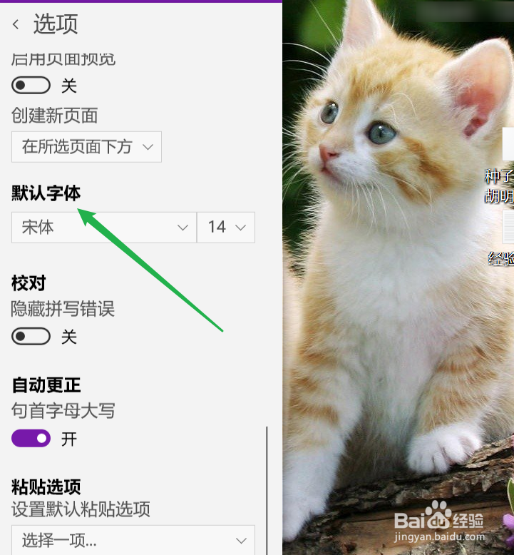 OneNote如何修改默认字体和字号