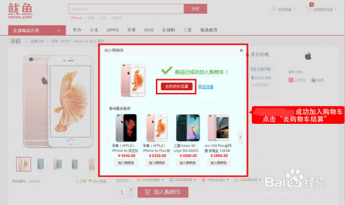 分享在鱿鱼网上购买鱿鱼服务的流程