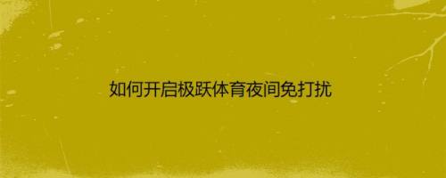 如何开启极跃体育夜间免打扰