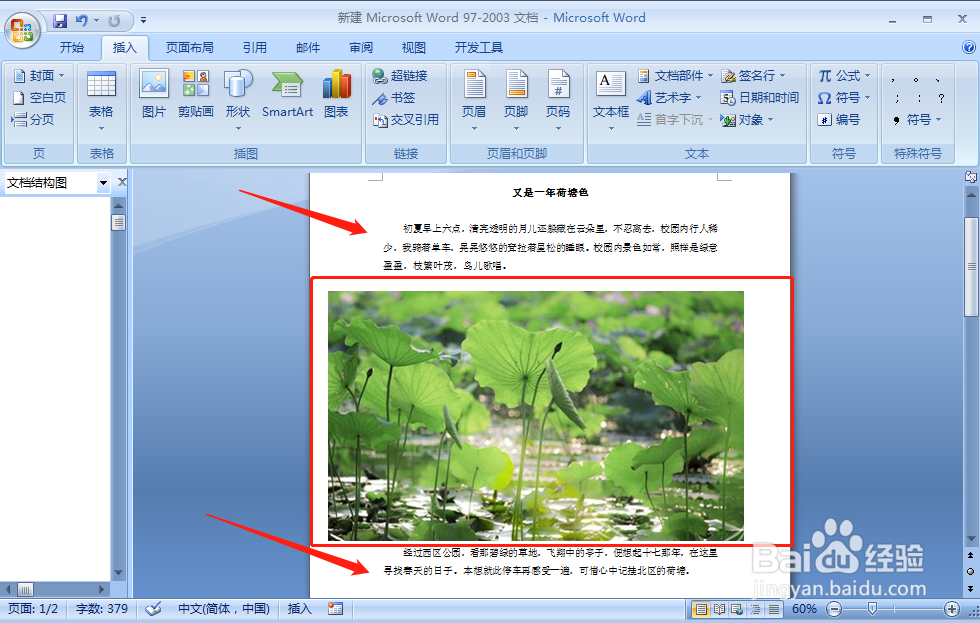word图片不显示或显示不全怎么办
