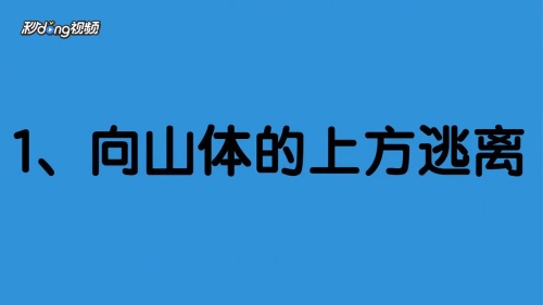 当在山上遇见泥石流时会怎么做?