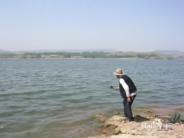 钓鱼的简单实用技巧