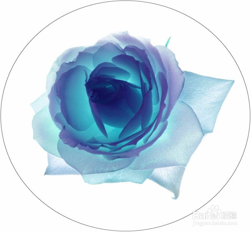 相机的认识和使用