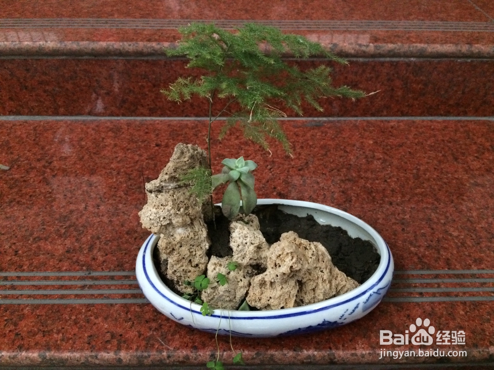 如何制作迷你假山盆景