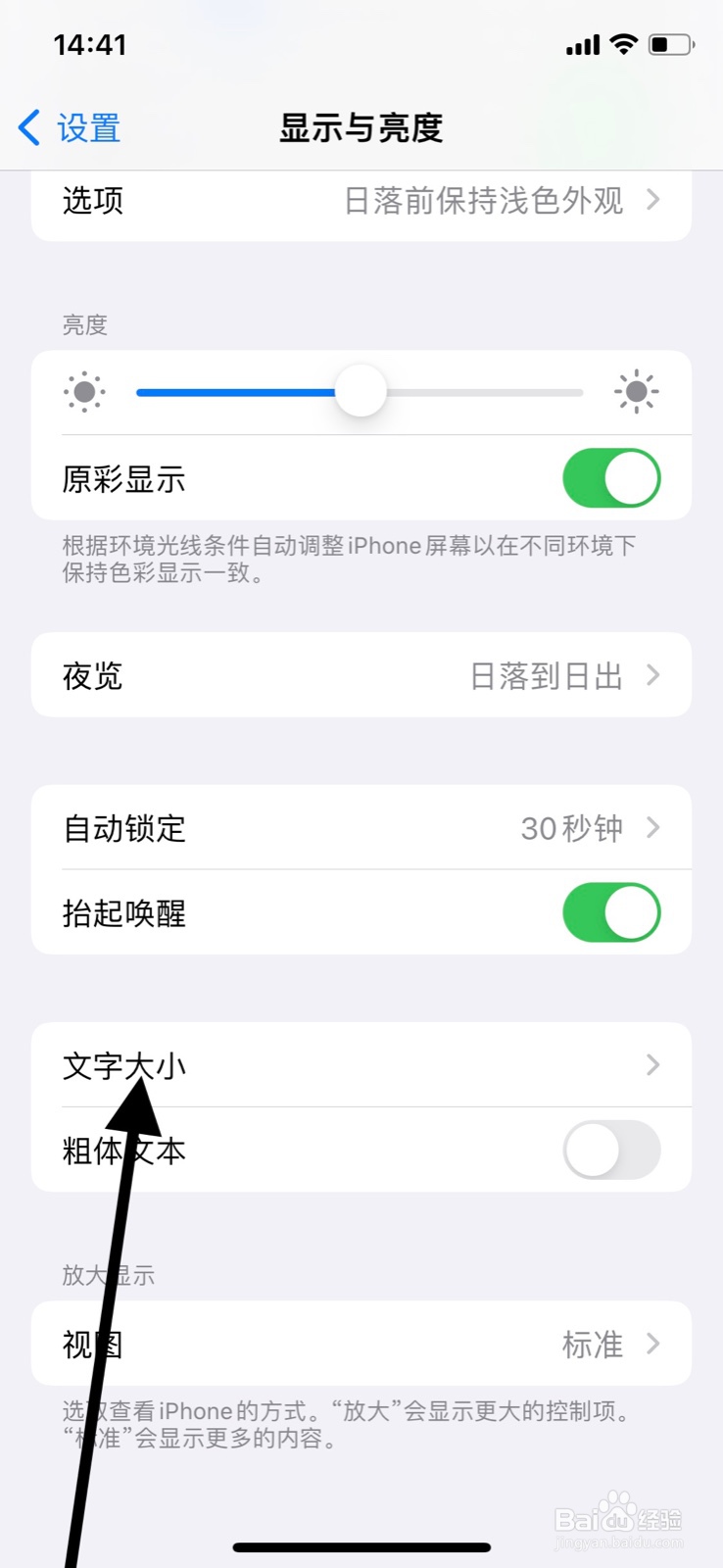 iPhone系统文字大小怎样调整