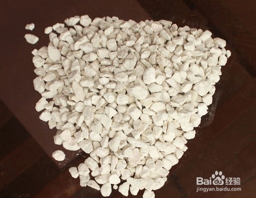 家庭种菜：[12]怎样防治蚯蚓的危害