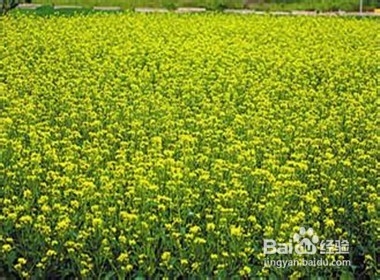 不要盯着别人的缺点不放