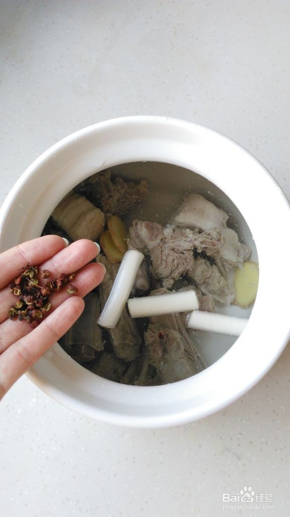 萝卜羊排汤的做法