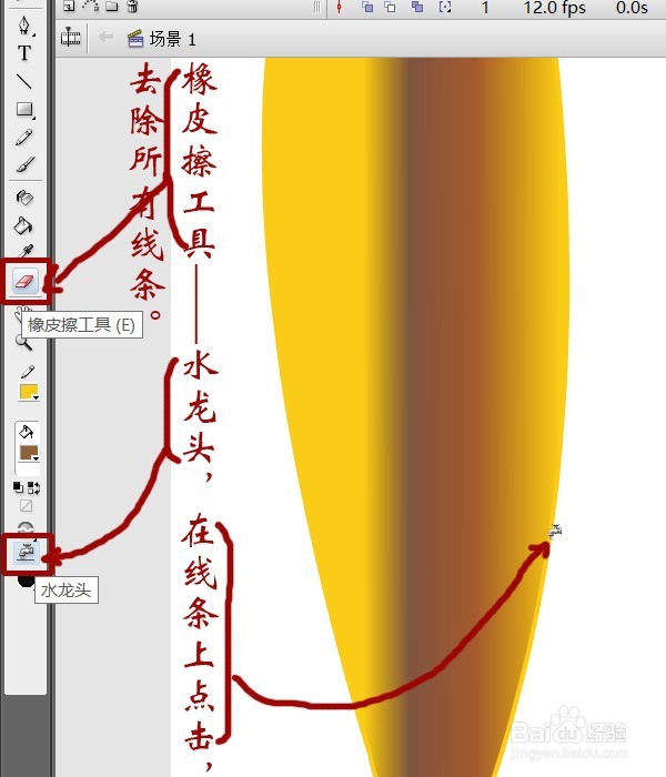 用flash绘制一朵花