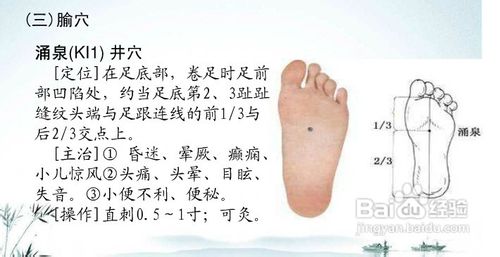 中医经络知识之足少阴肾经图解