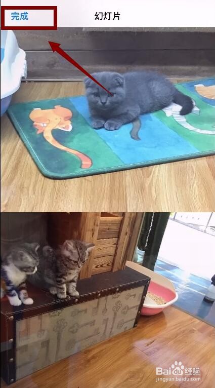 苹果手机四张照片如何合成一张照片