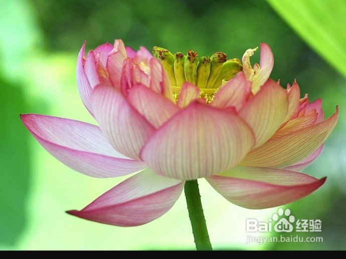 健康长寿经典秘诀