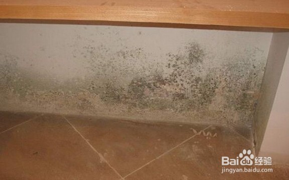 房间墙壁发霉怎么处理