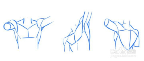 人体绘画中肩部(腋下)如何画?