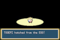 口袋妖怪圣灰攻略图片5