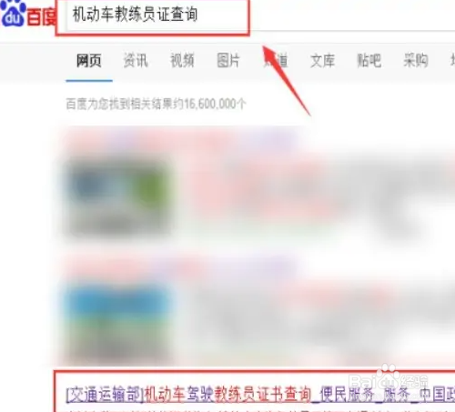教练证在哪里查询