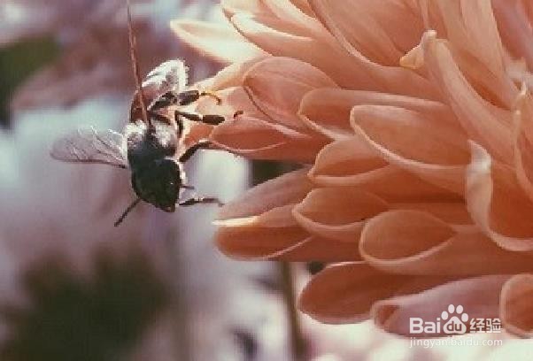 如何让食盐发挥更大的作用(2)