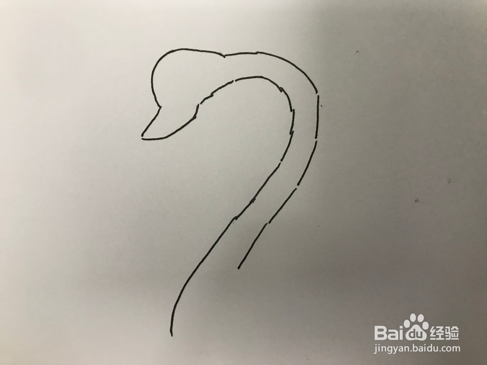 画一个简易水晶天鹅