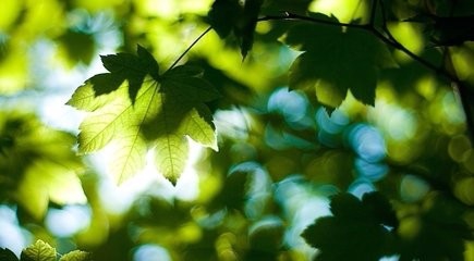 夏天有什么好的避暑妙招