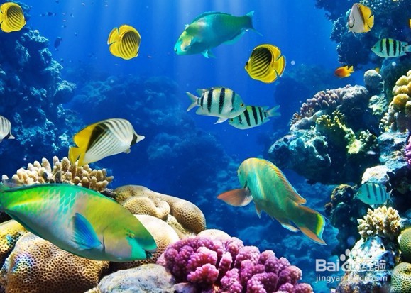 有哪些特别的约会方式