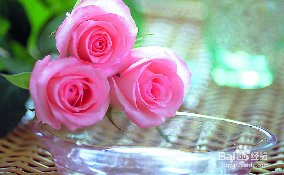 如何用冰块保养肌肤美容去痘痘