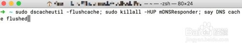 如何通过命令行刷新 MacOS 苹果电脑的 DNS 缓存
