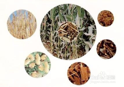 禾武详解生物质燃料带来的经济效益