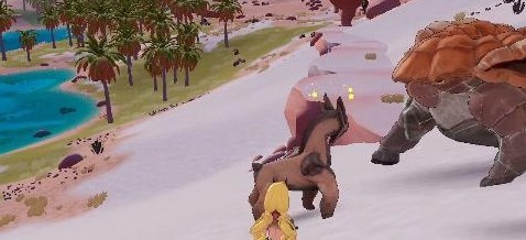 幻塔咸水绿洲调查生态异常攻略