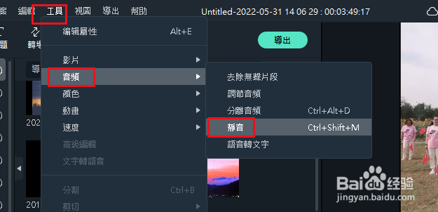 如何在 Filmora11中静音