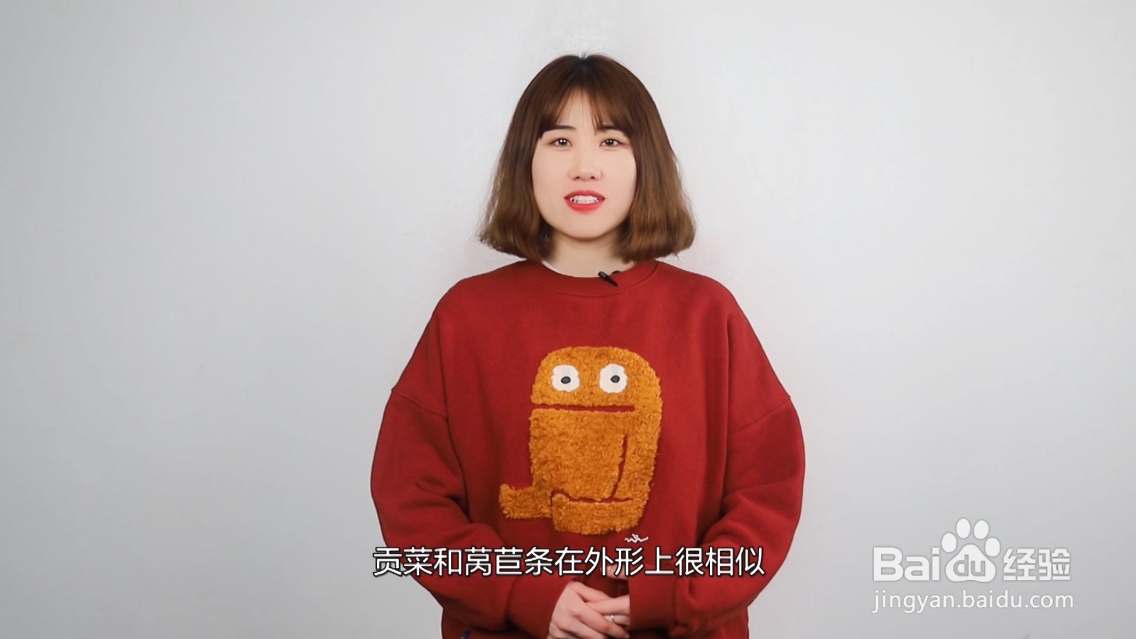 贡菜是不是莴笋