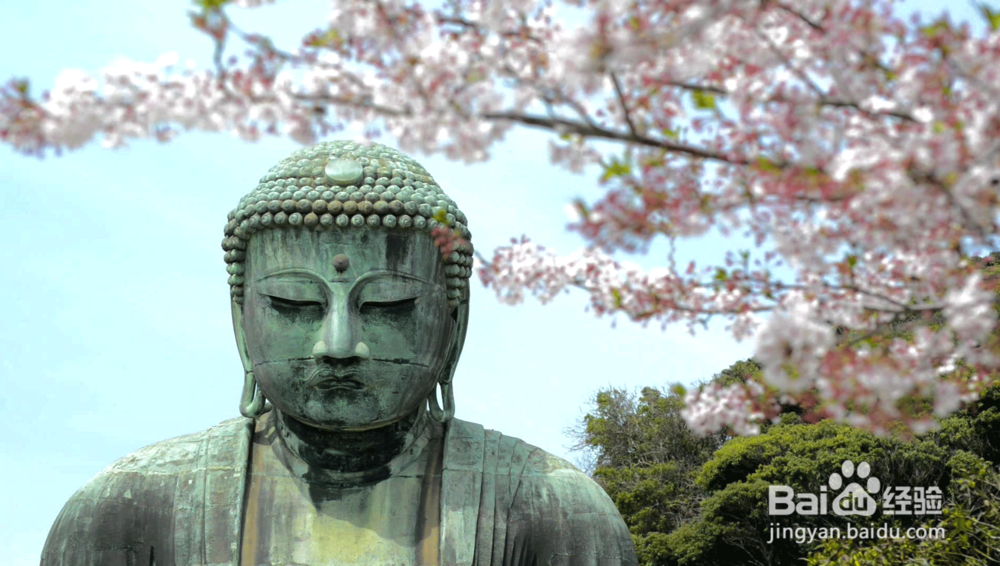 冬季日本旅游游玩攻略