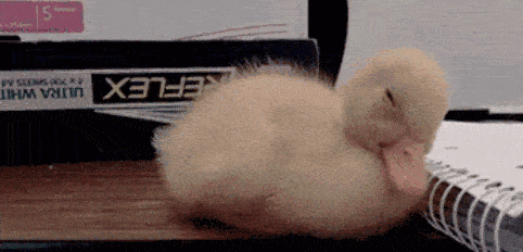 有哪些不良的生活习惯会影响你健康