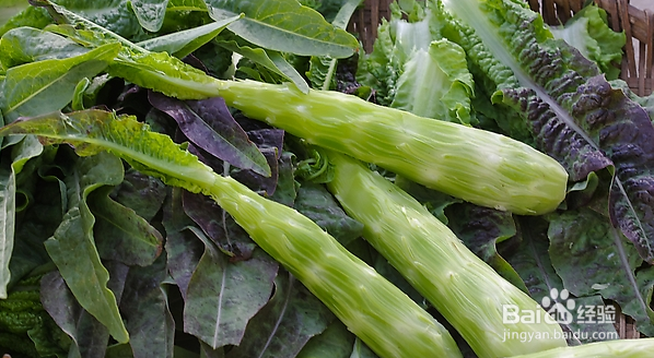 孕期饮食十不宜