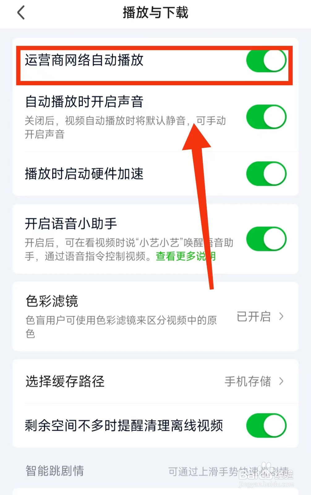 怎样设置爱奇艺在“运营商网络中自动播放”
