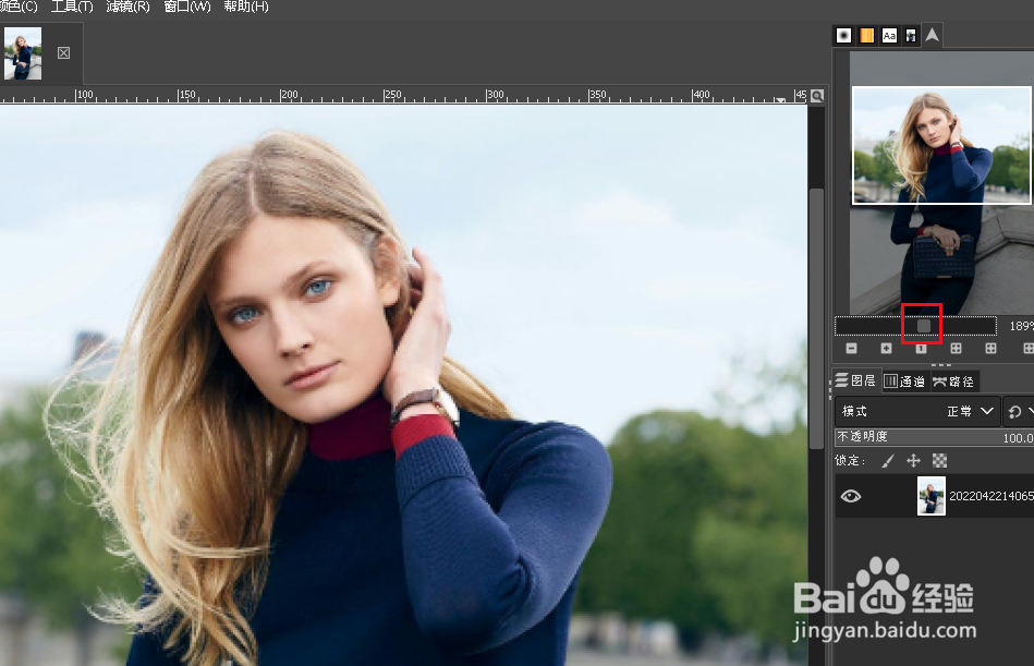 GIMP 如何在导览窗口缩放图像
