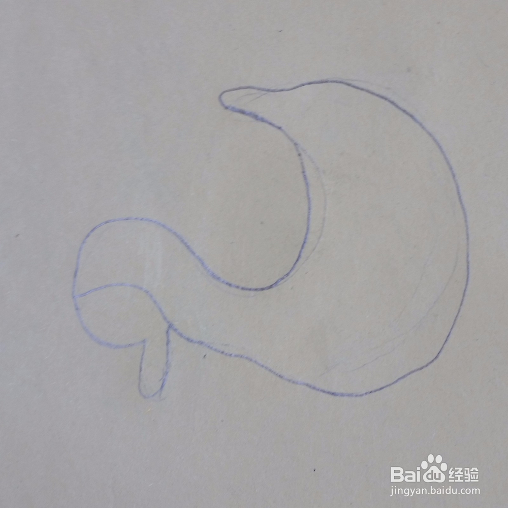 儿童简笔画小鸭子