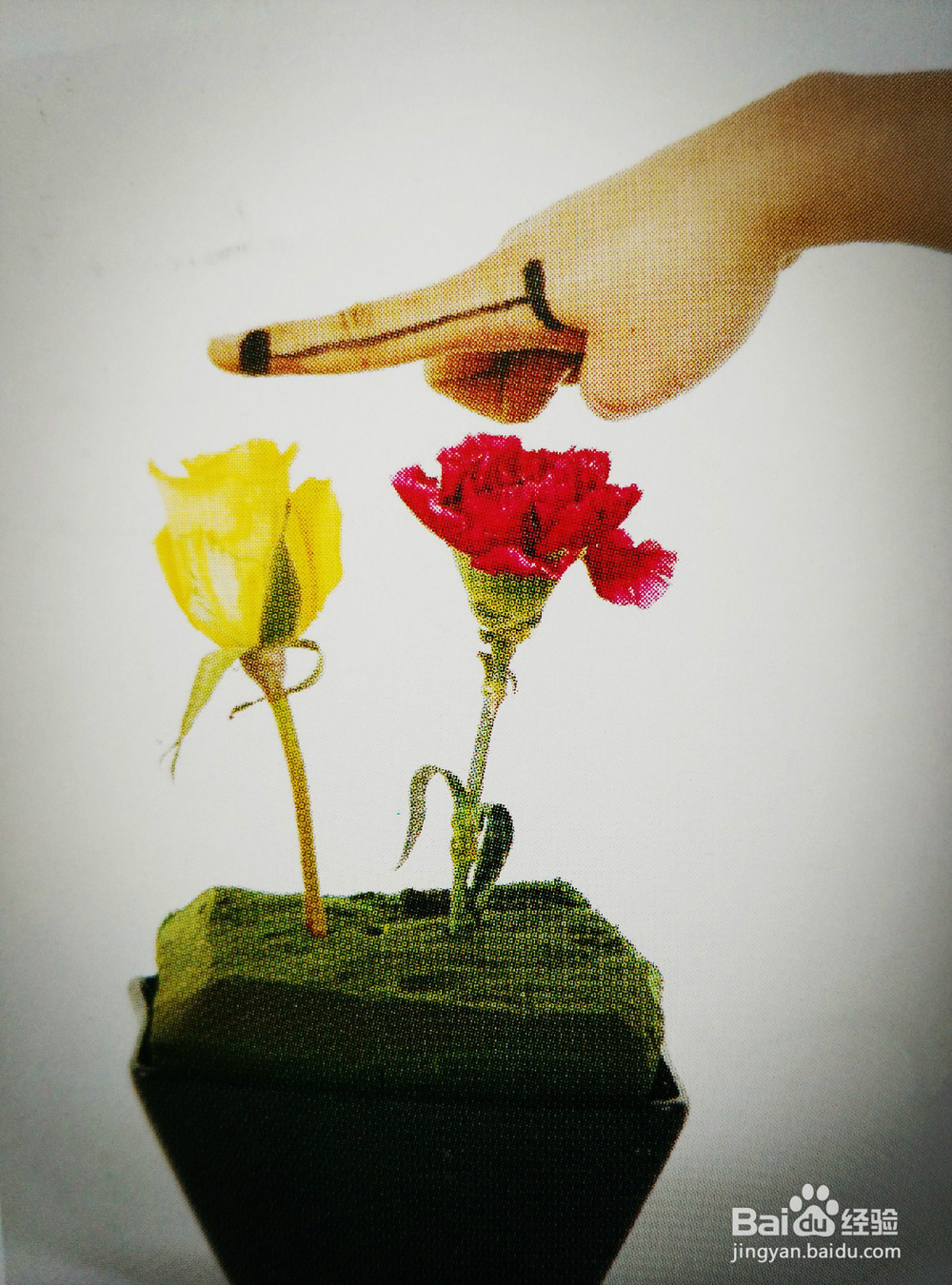 怎样插制三角形的花型