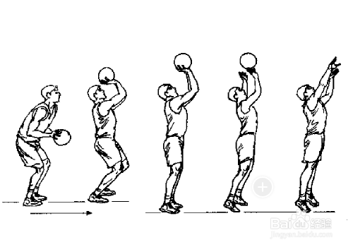 打篮球的姿势怎么画图片