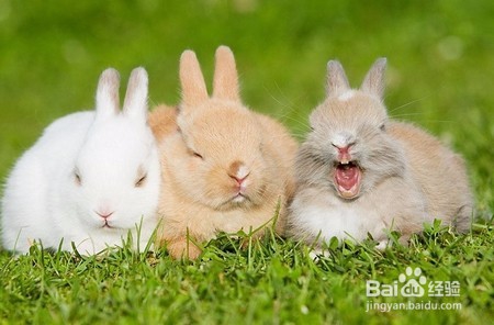 恋爱中男女之间的暗号