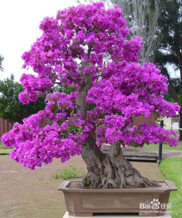 家谱编写收集资料的方法