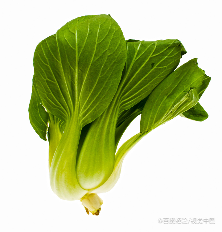 油菜苔的功效图片