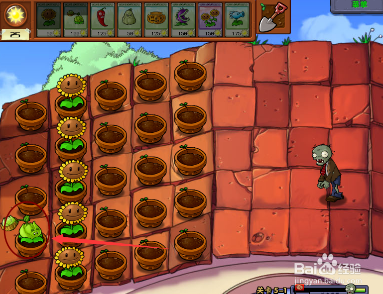 植物大战僵尸屋顶模式攻略