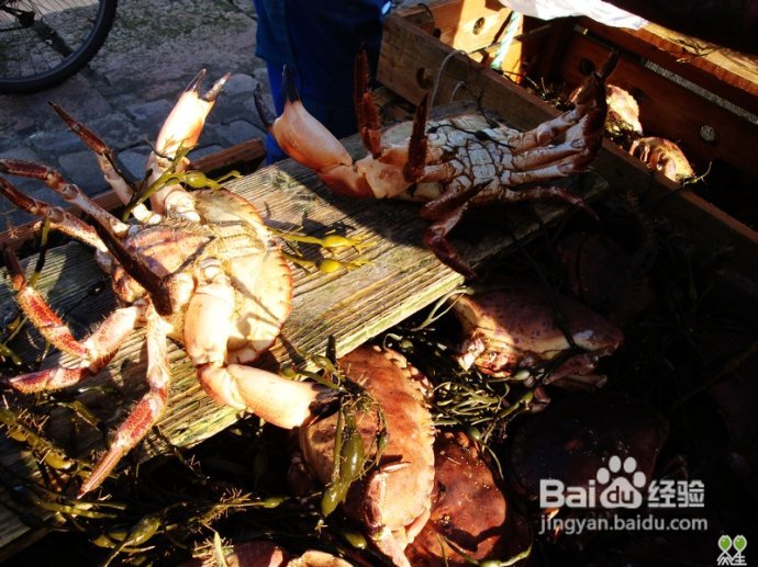 【挪威】卑尔根鱼市，海鲜食客的饕餮大餐