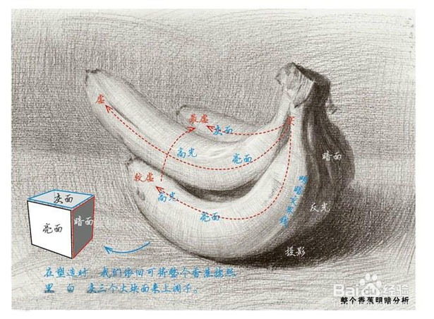 如何画香蕉、水果刀、老虎钳、青菜、布娃娃素描