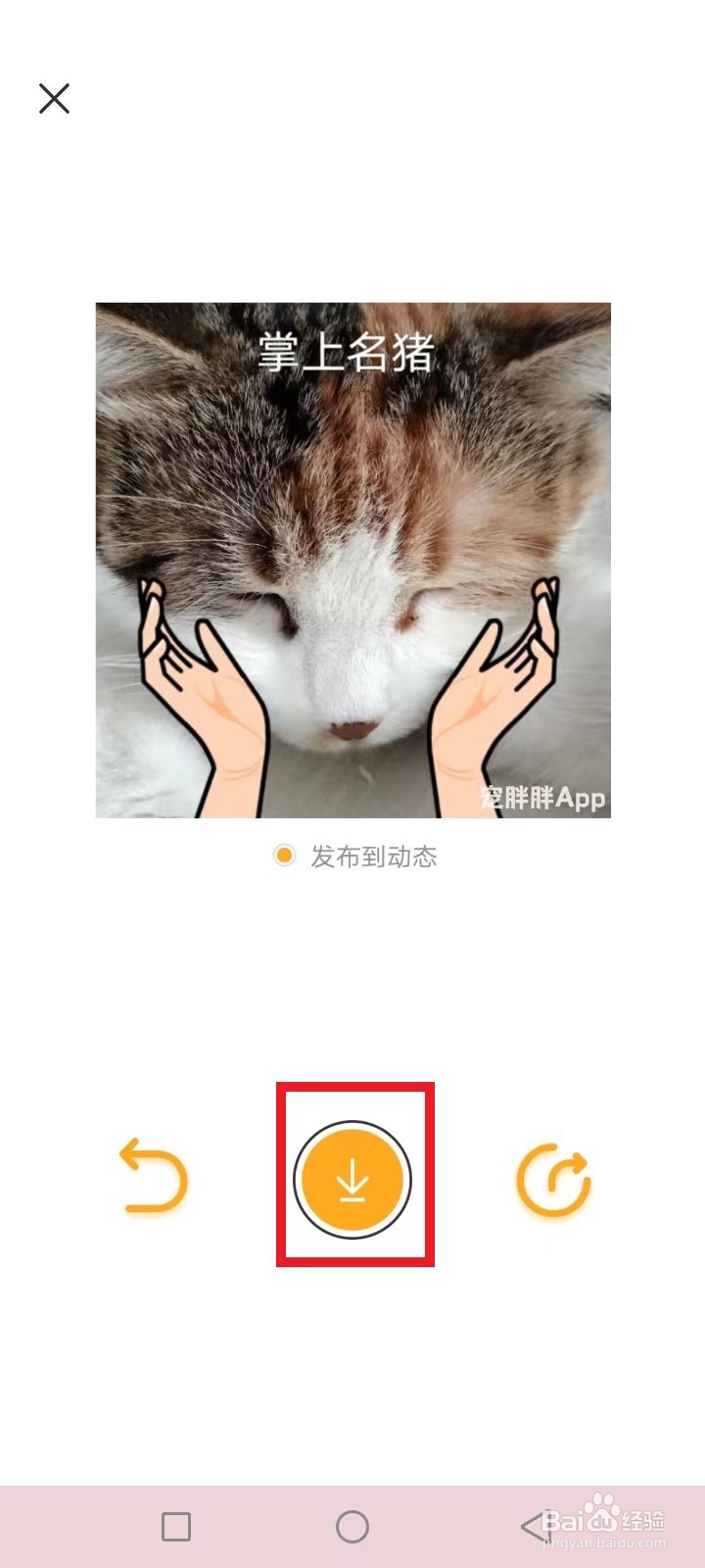 宠胖胖怎么制作我的宠物表情包