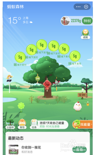 支付宝蚂蚁森林加速器如何获得