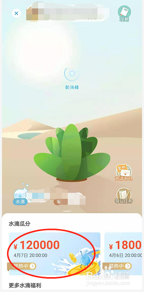 绿洲怎么参加集水滴瓜分百万现金的活动