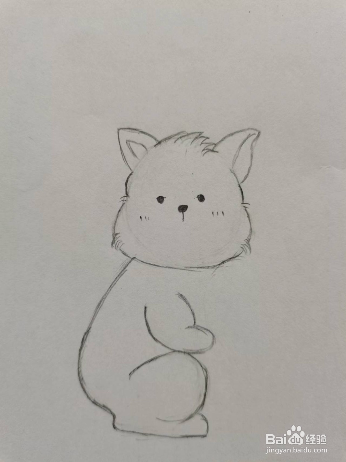 大尾巴鼠怎么画